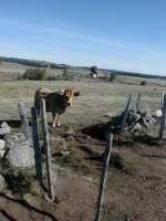 Le Puy en Velay